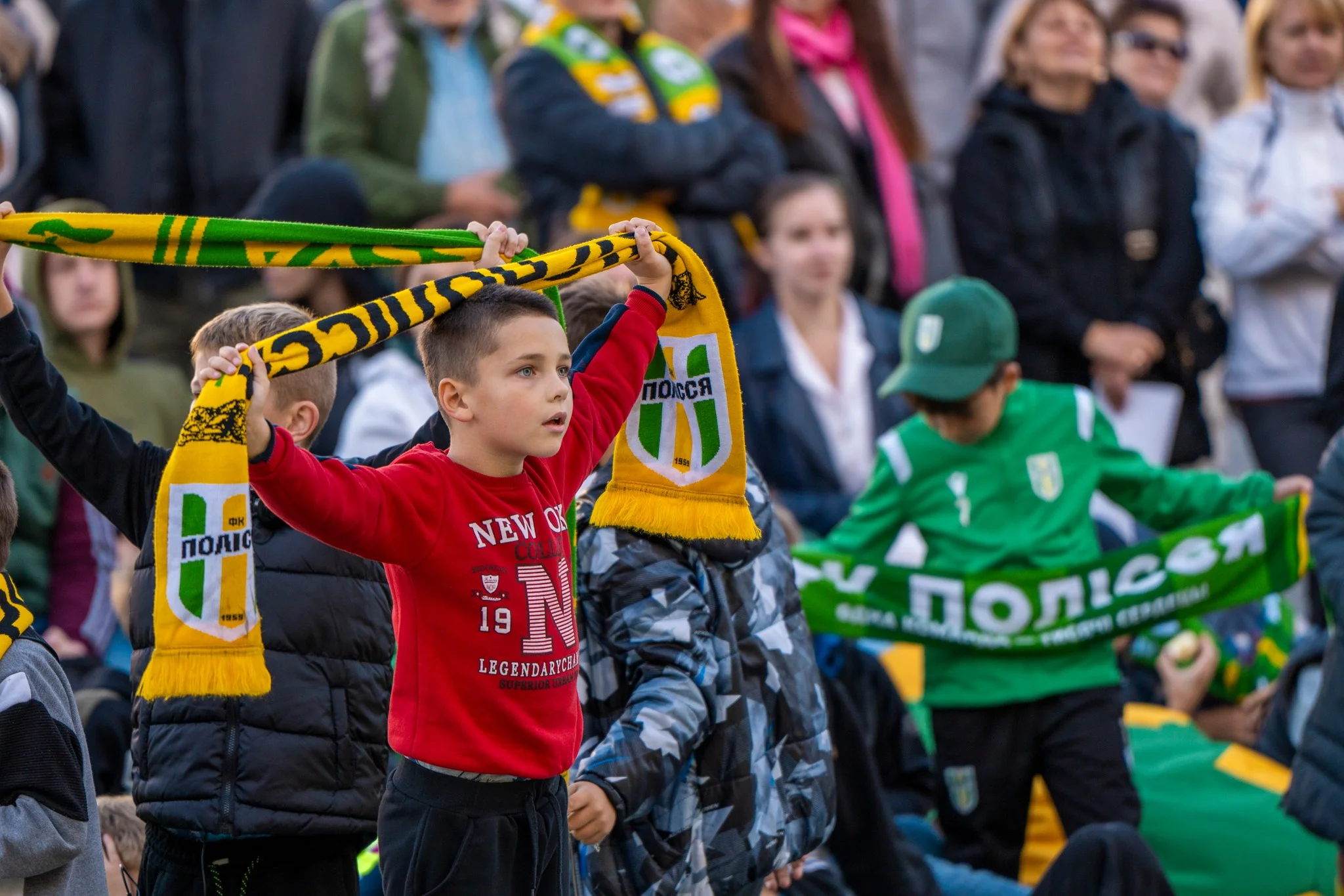 полісся полісся