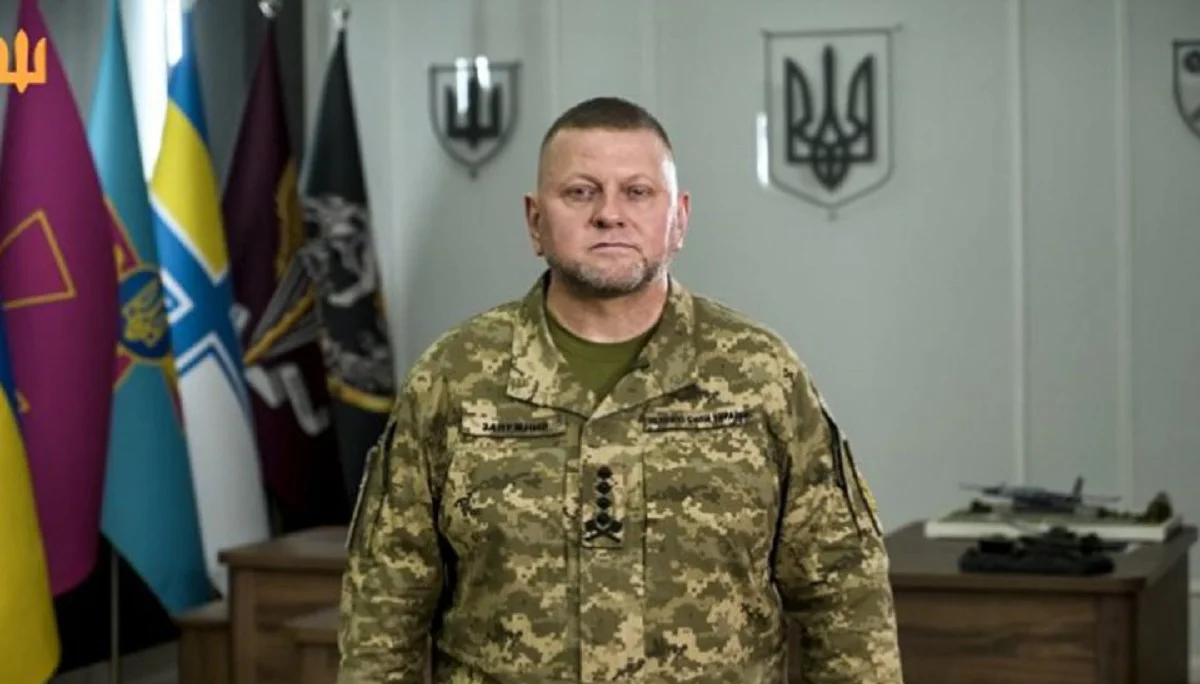 Валерий Залужный / Стоп-кадр из видео