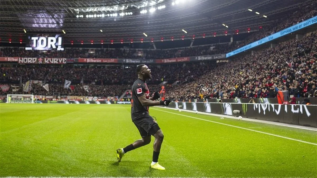 Віктор Боніфейс / Pro Shots