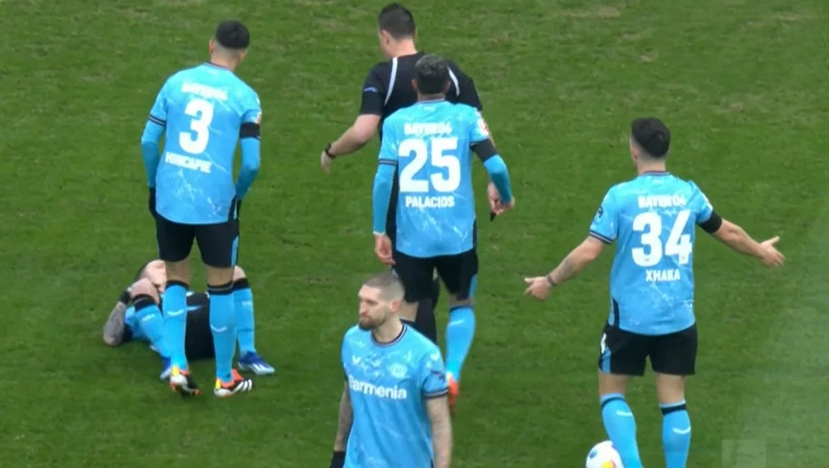 Байер / Стоп-кадр из видео