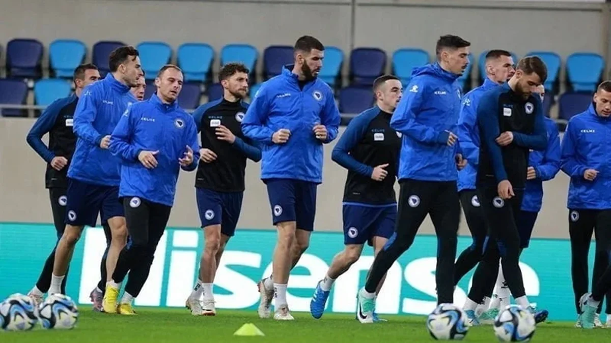 Збірна Боснії та Герцеговини