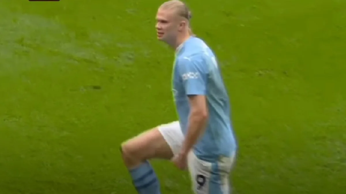 Эрлинг Холанд / скриншот