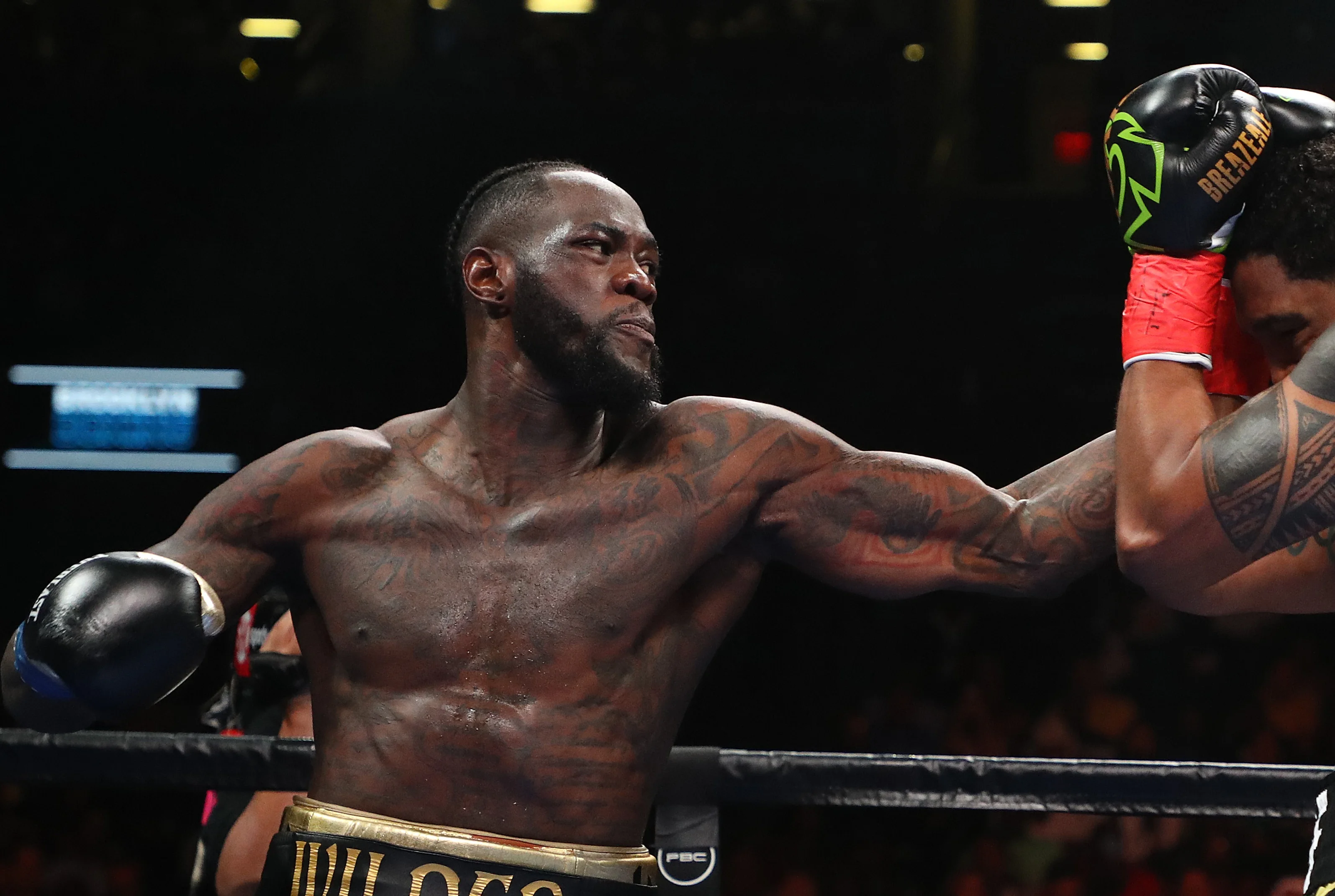 Деонтей Вайлдер / Getty Images