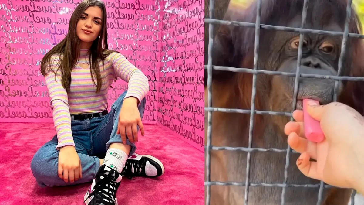 Анастасия Лучкина и орангутанг / фото из "болотных" источников