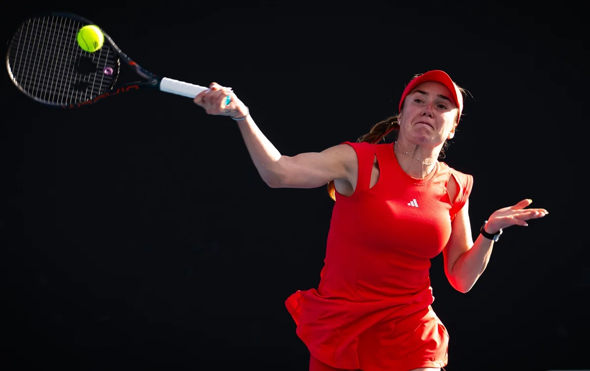 Элина Свитолина / Getty Images