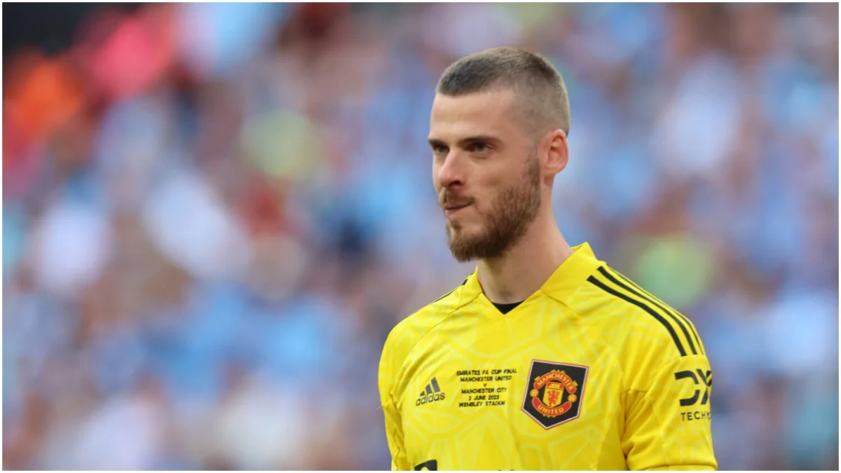 Давід де Хеа / IMAGO