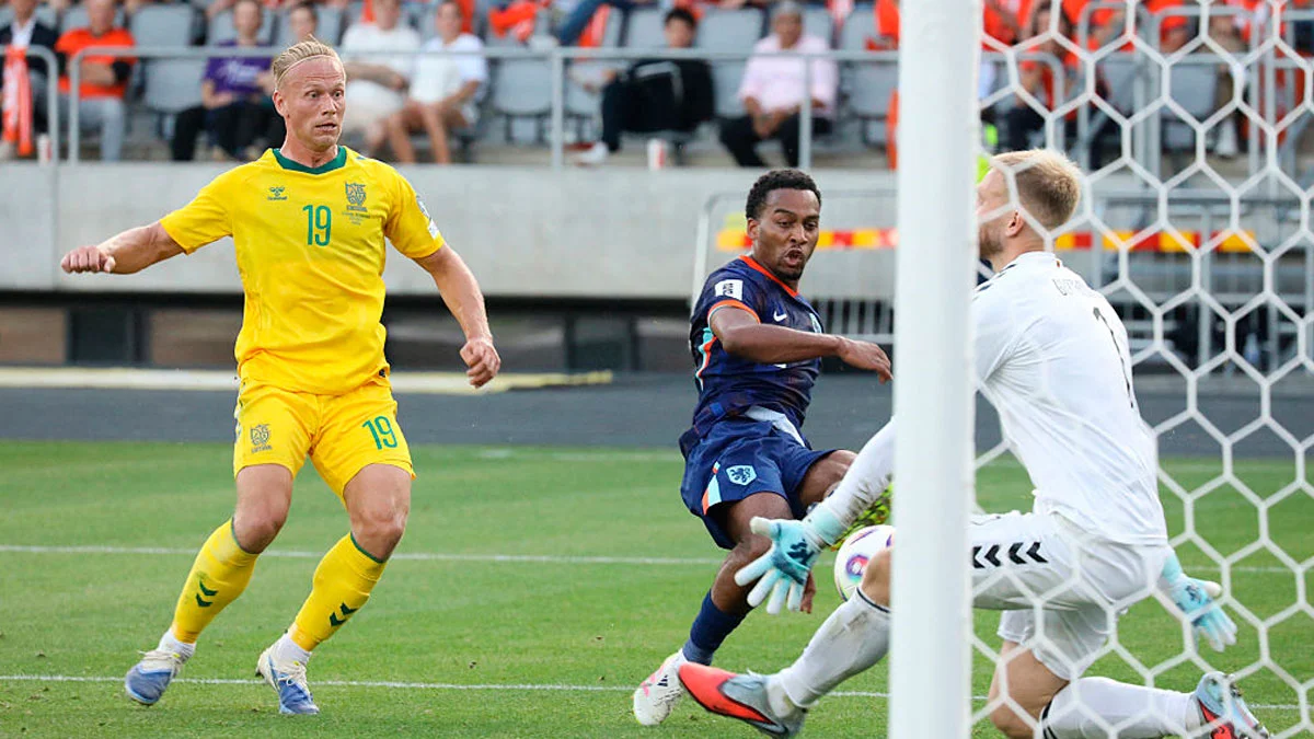 Литва – Нидерланды – 2:3 / PETRAS MALUKAS/AFP via Getty Images