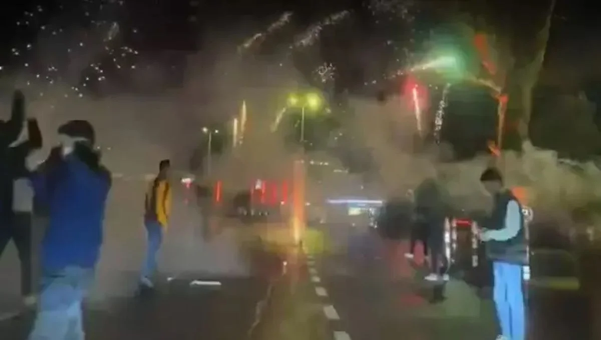 Фанати Галатасарая / скріншот