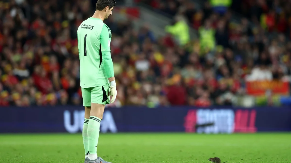 Тибо Куртуа / Фото Dan Istitene/Getty Images