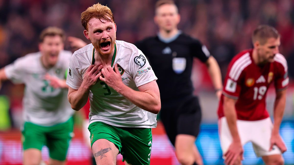 Венгрия – Ирландия – 2:3 / David Balogh/Getty Images