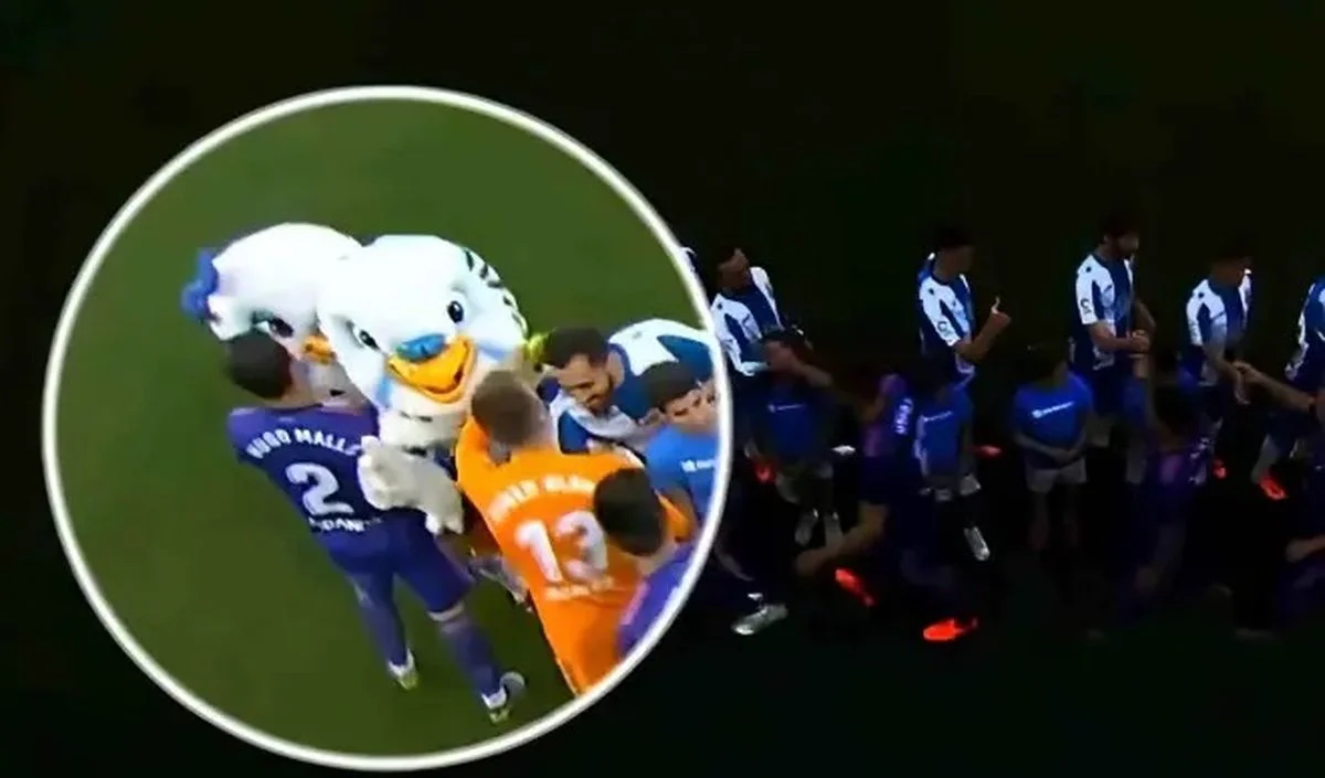 Гюго Малло / Marca