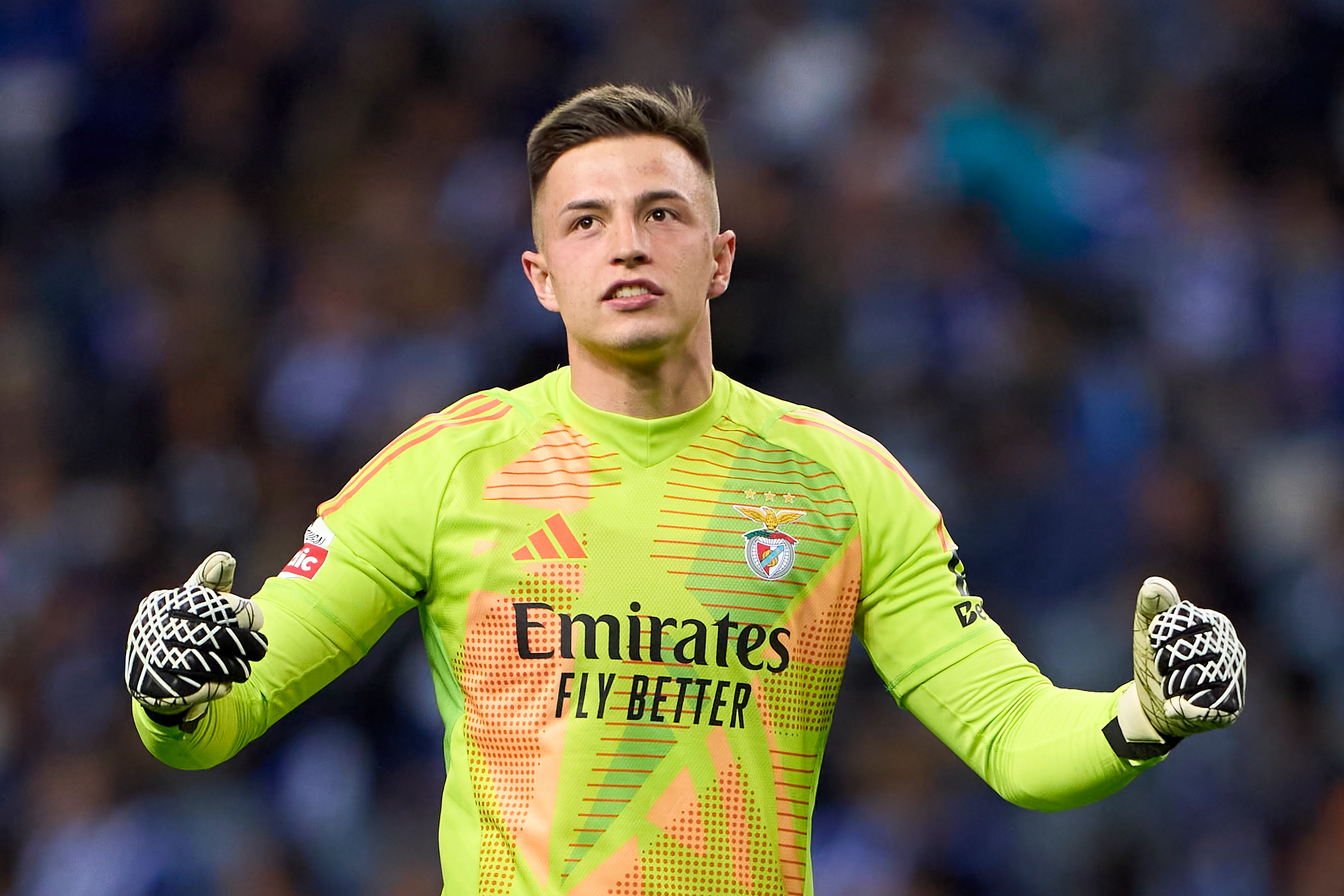 Анатолий Трубин / Getty Images