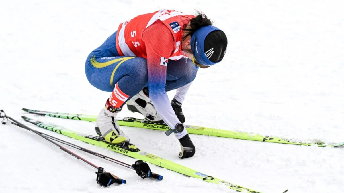 Хан Дасом / Nordic Focus