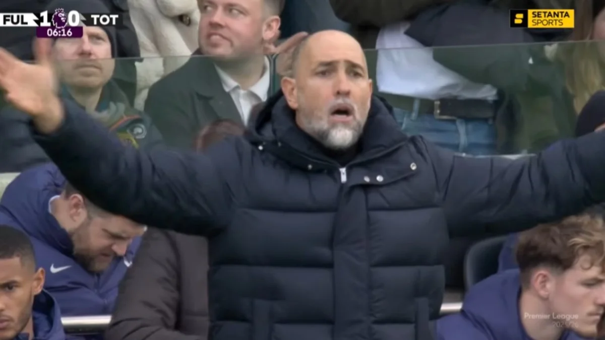 Игор Тудор / скриншот