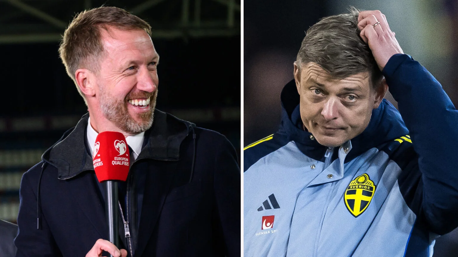 Поттер змінив Швецію з атакувального футболу Томассона на ефективний / фото Bildbyrån