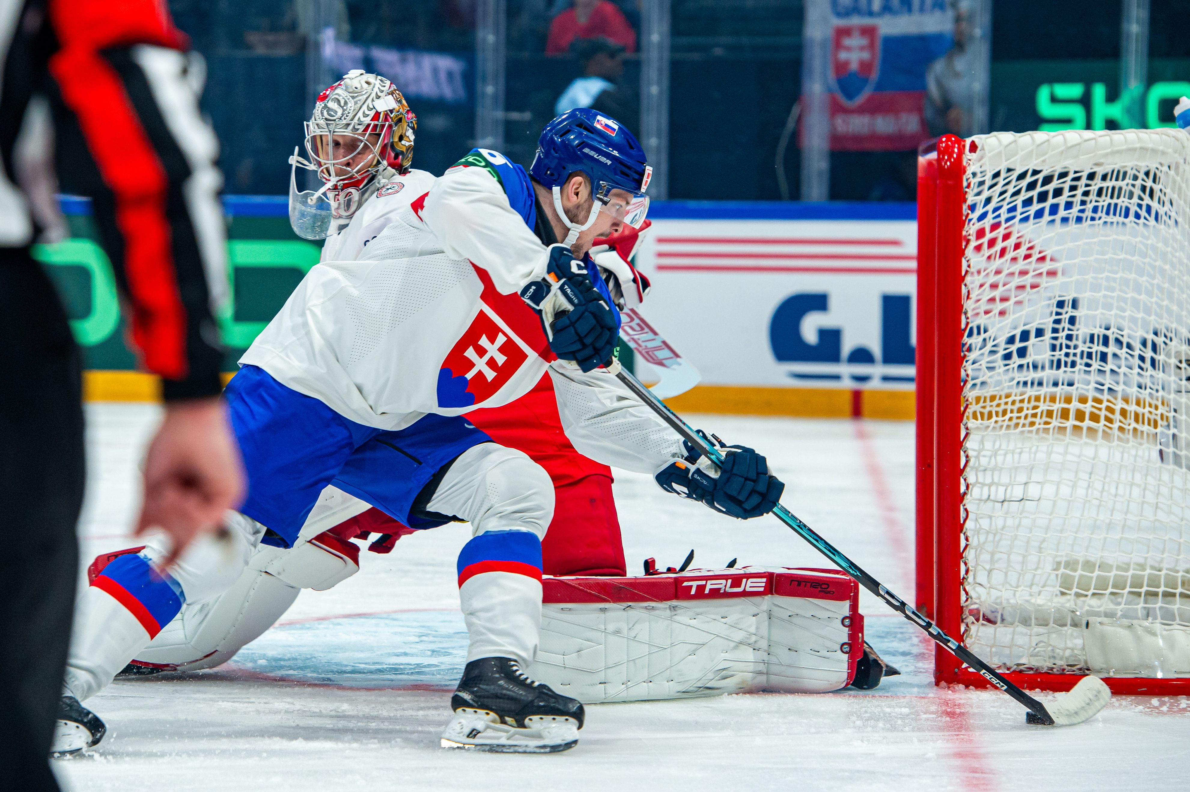 Дания – Словакия / Getty Images