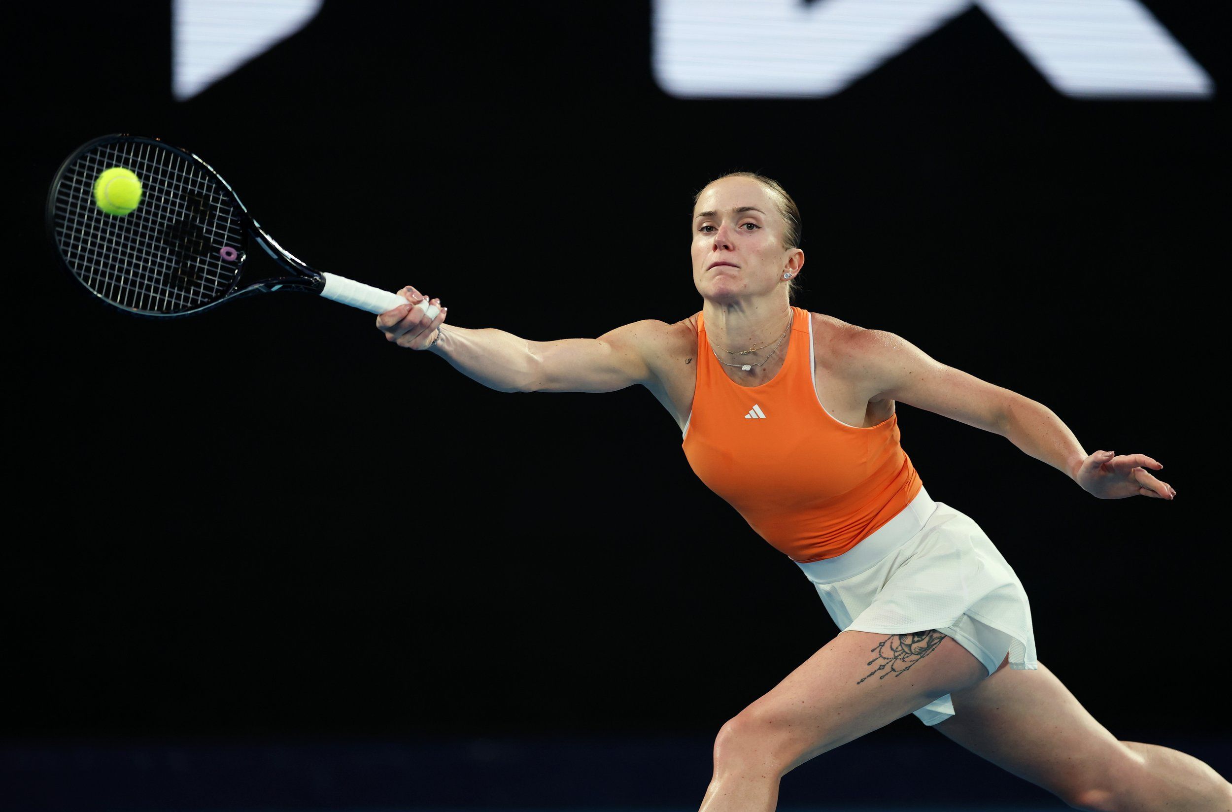 Элина Свитолина / Getty Images