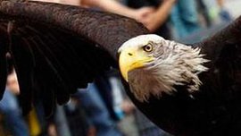 "Лаціо" та ді Натале оштрафовані "Лаціо" та ді Натале оштрафовані
