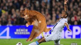 Котиньо – футбольный мем, который стремительно подорвал соцсети Котиньо – футбольный мем, который стремительно подорвал соцсети