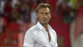 Ренар стал лучшим тренером года в Африке
Ренар стал лучшим тренером года в Африке